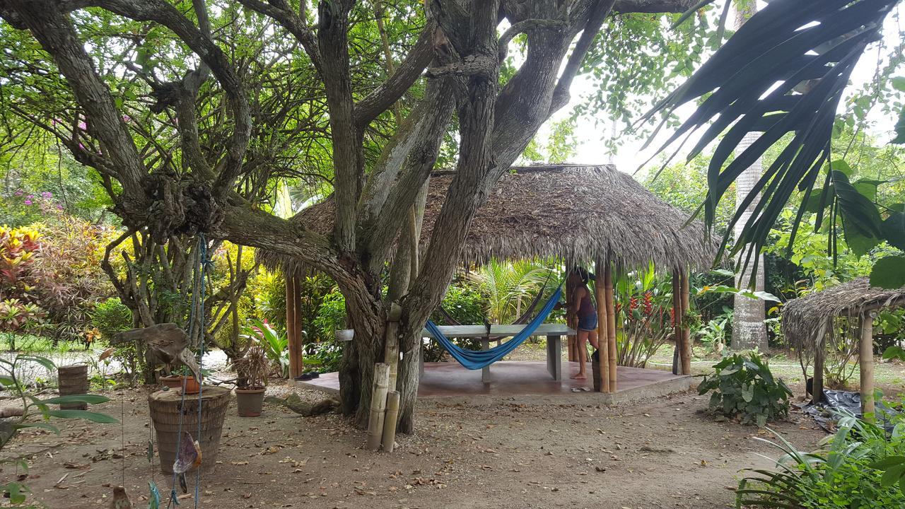Las Cabanas De La Iguana Ayampe Εξωτερικό φωτογραφία